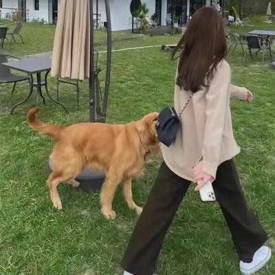 医生艳史
